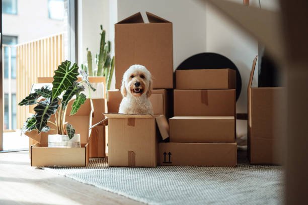 Refinancing Your Home